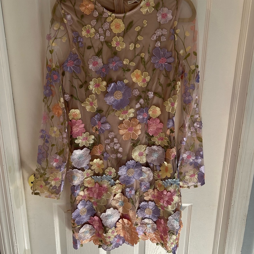 Aves Les Filles Floral Embroidered Sheer Dress